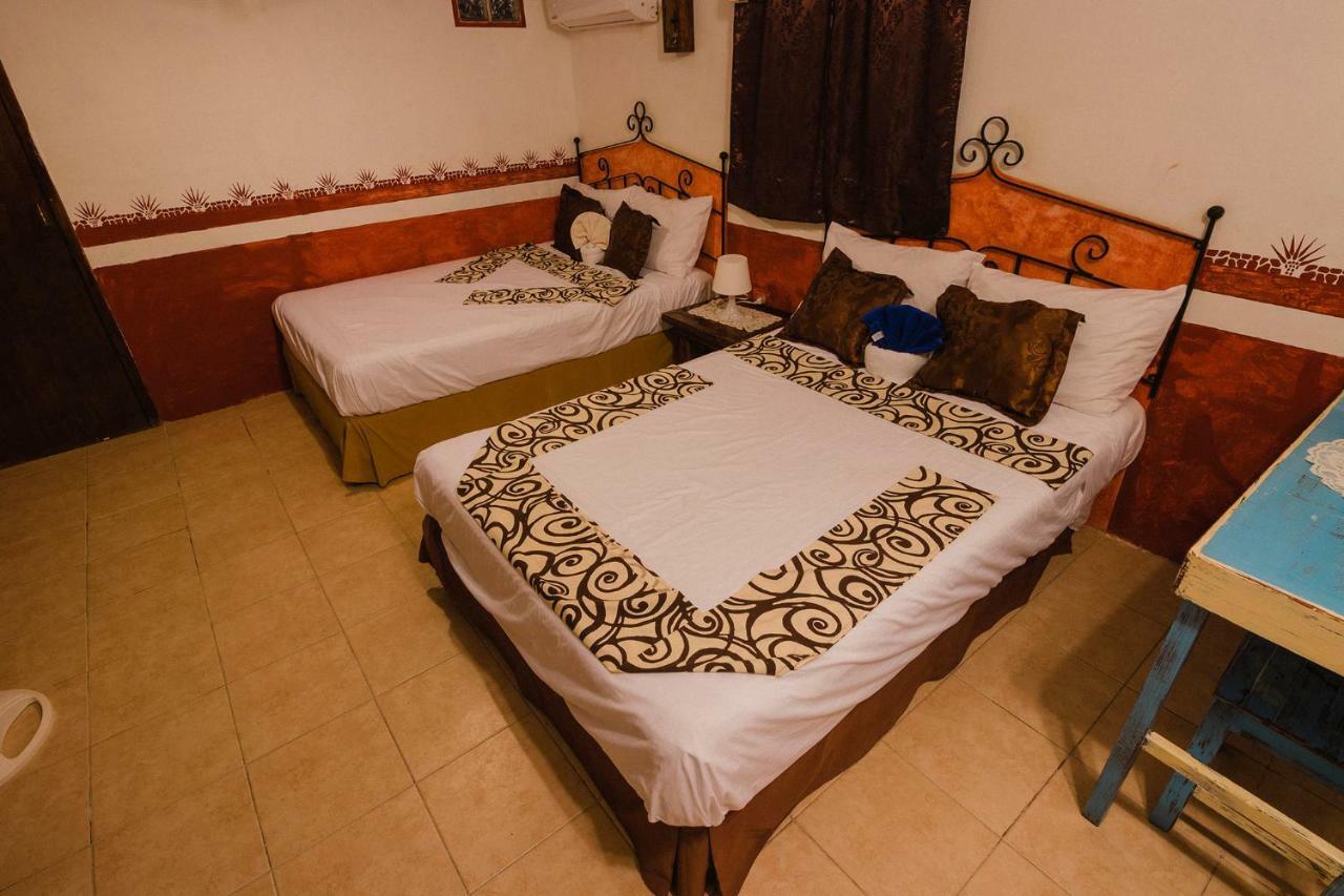 Antigua Lodge, 70 M From Sandy Beach 埃尔库约 外观 照片