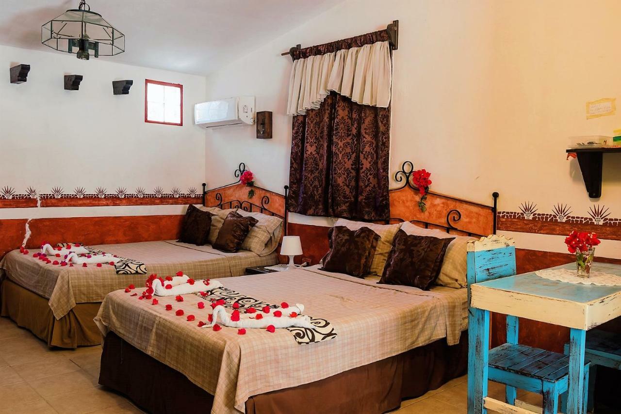Antigua Lodge, 70 M From Sandy Beach 埃尔库约 外观 照片